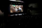 Кинофестиваль "Золотой ворон" начал приём заявок для участия в конкурсе 2019-го года