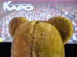 Плюшевый сеанс: первые зрители в «КАРО» в преддверии открытия